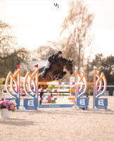 Vente de poney